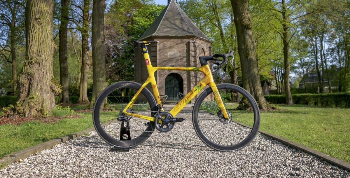 Giant Propel Sunflower Van Gogh Hanya 250 Unit 